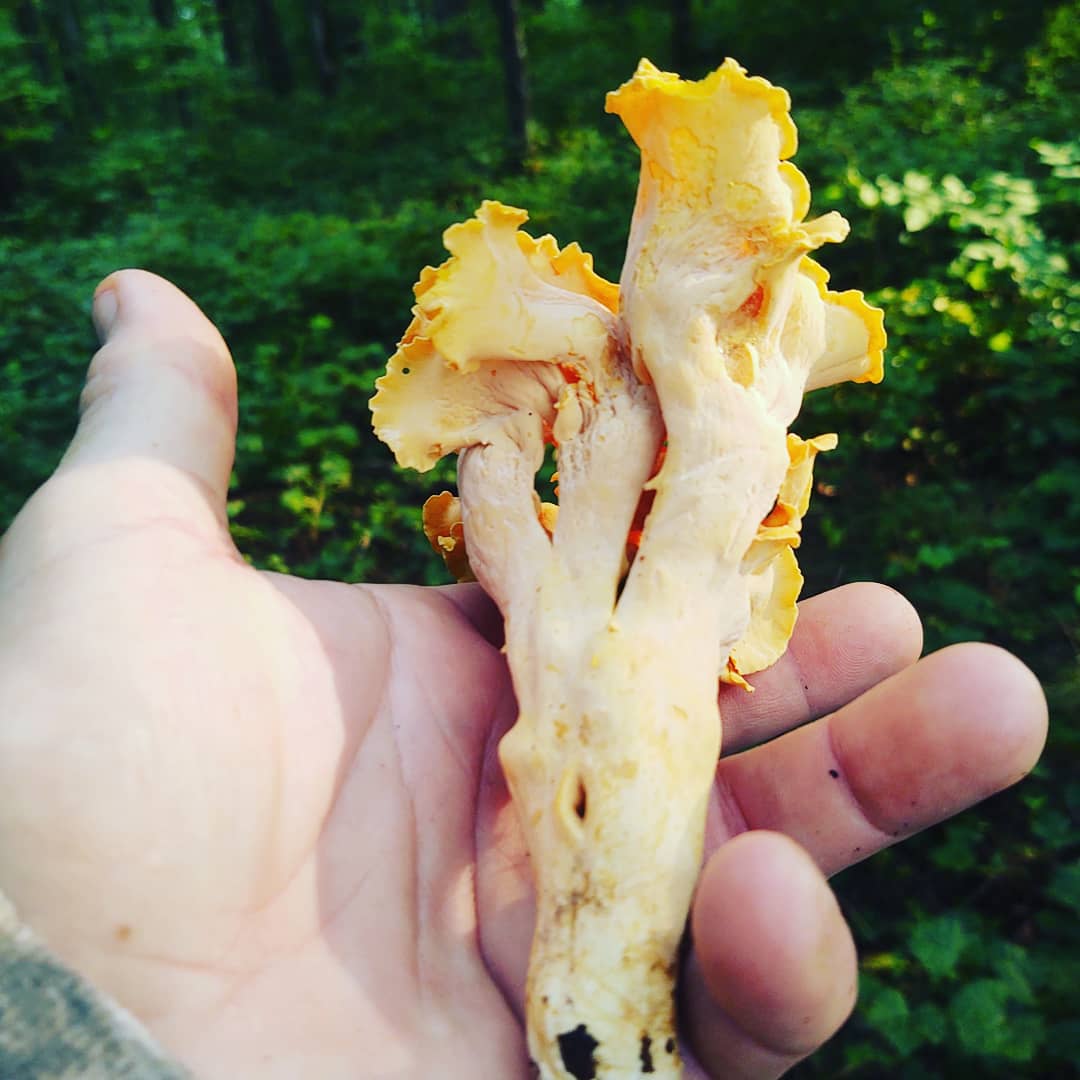 Who said the season is over?