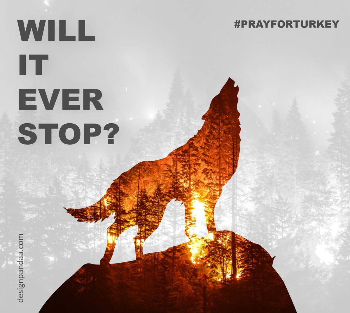design_pandaa_'s tweet image. Our prayers are for Turkey🙏🏻

#turkey #turkish #turkishwildlife #prayforturkey #prayforturkey🇹🇷 #wild #wildfire