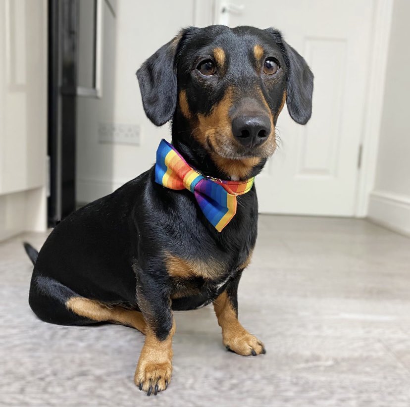 Robert Game tweet media