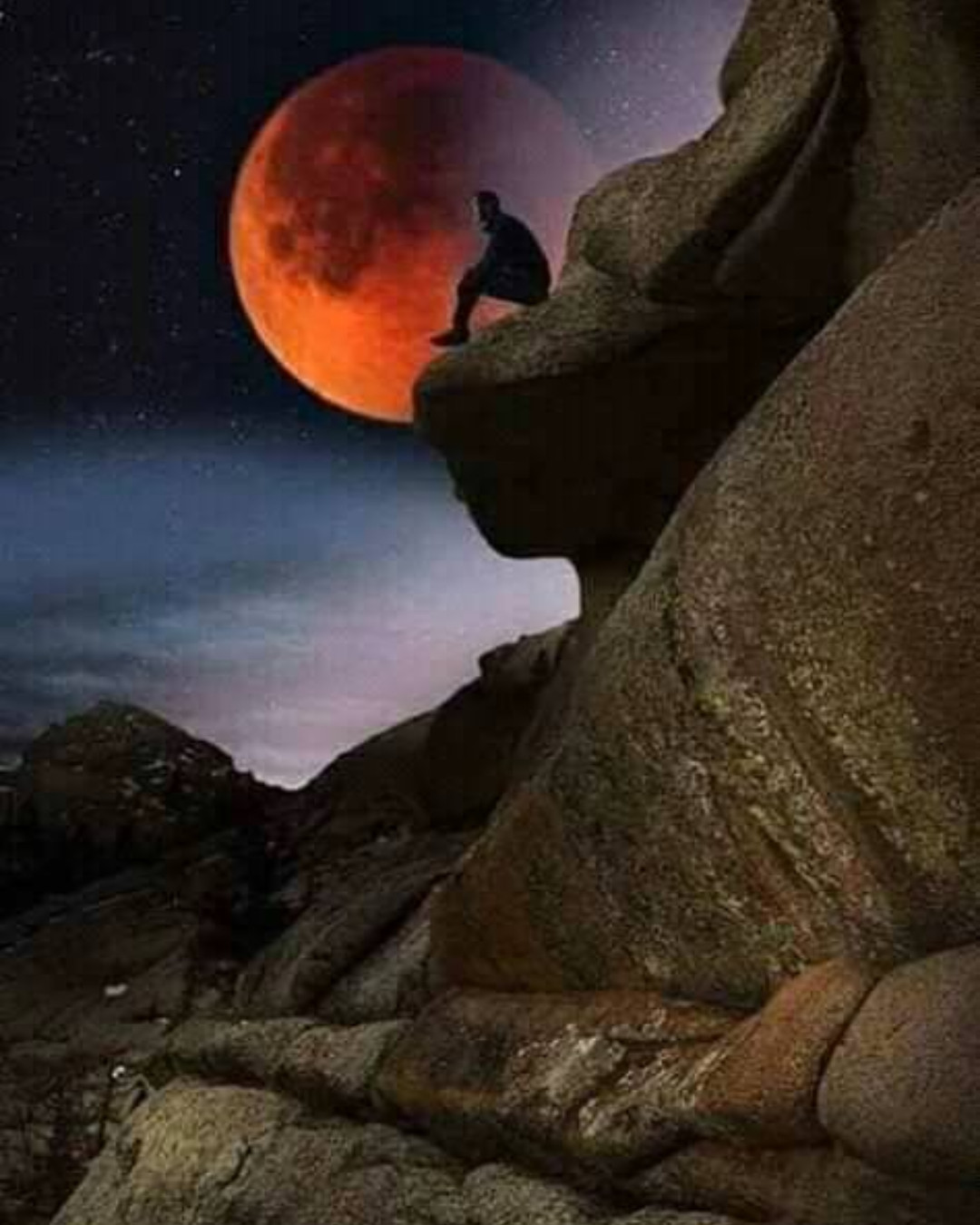 crazynature 