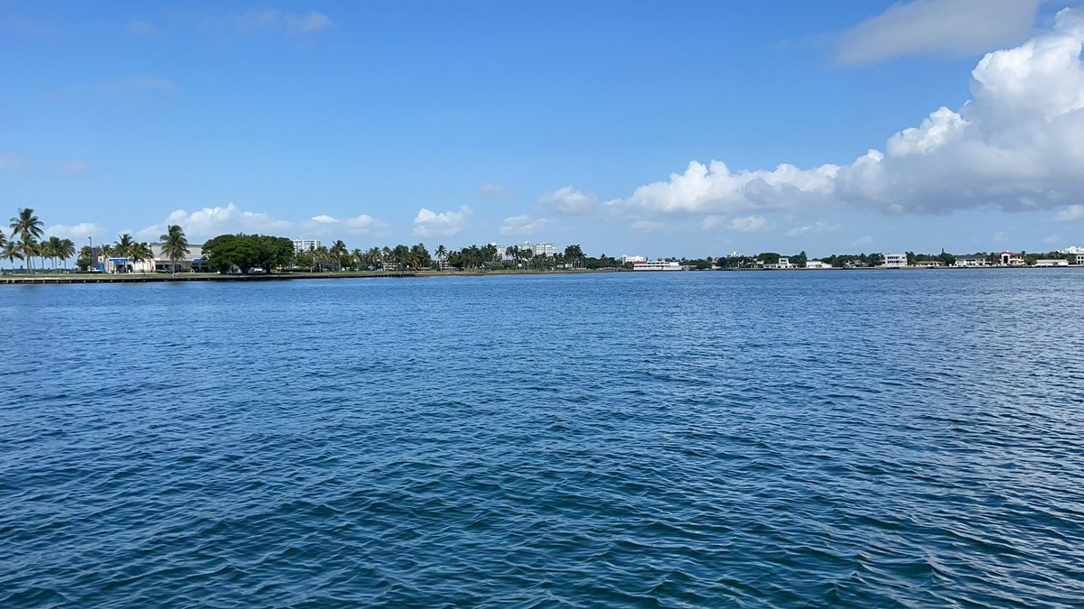 FIUEnvironment's tweet image. Tune into @WPLGLocal10 w/ @LOUISAGUIRRE next week to catch our annual #BiscayneBay update 🌊 Our director, @crowl_ta, talks about what we’re seeing in the Bay compared to last year &amp;amp; what we’ve done to help our waterway recover 🐟

cc: @FIUCASE @FIU @MiamiWaterkpr