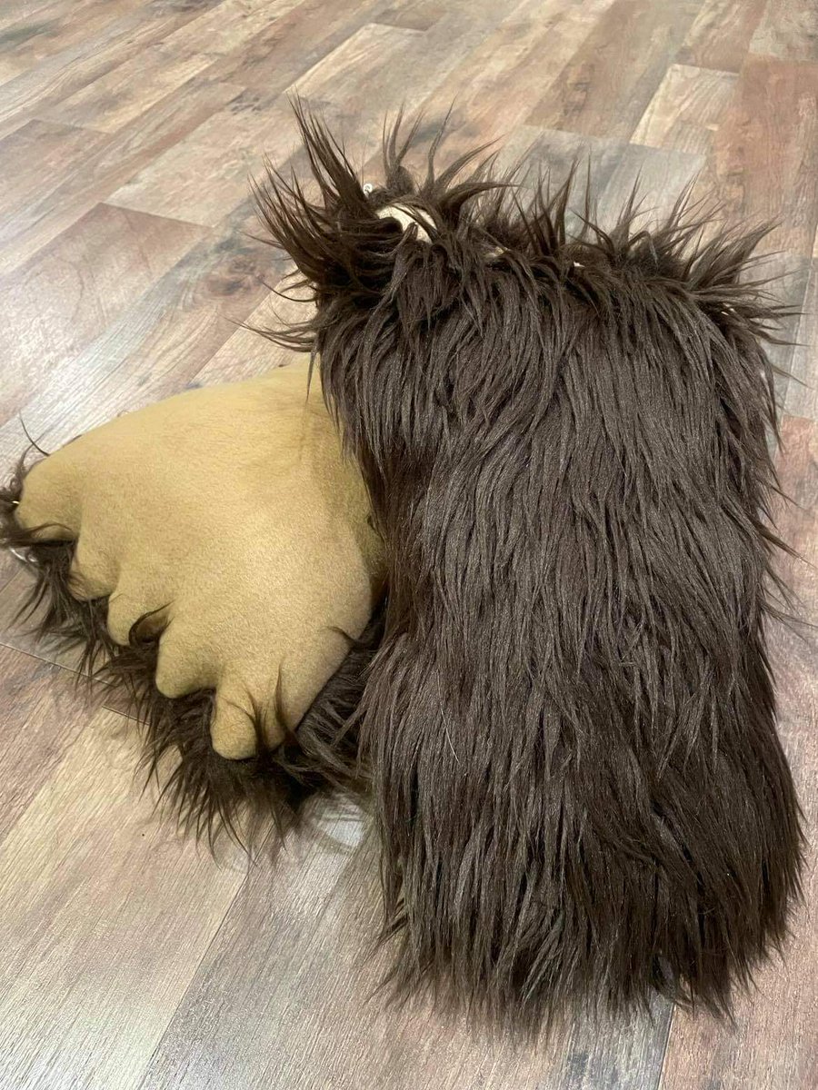 WVbigfootmuseum's tweet photo. We now have #Bigfoot foot pillows!
#saythatthreetimesfast
#WVbigfootmuseum #shoplocal #smallbusiness #suttonwv #visitbraxtonwv #westvirginia https://t.co/sNYU32iiT2