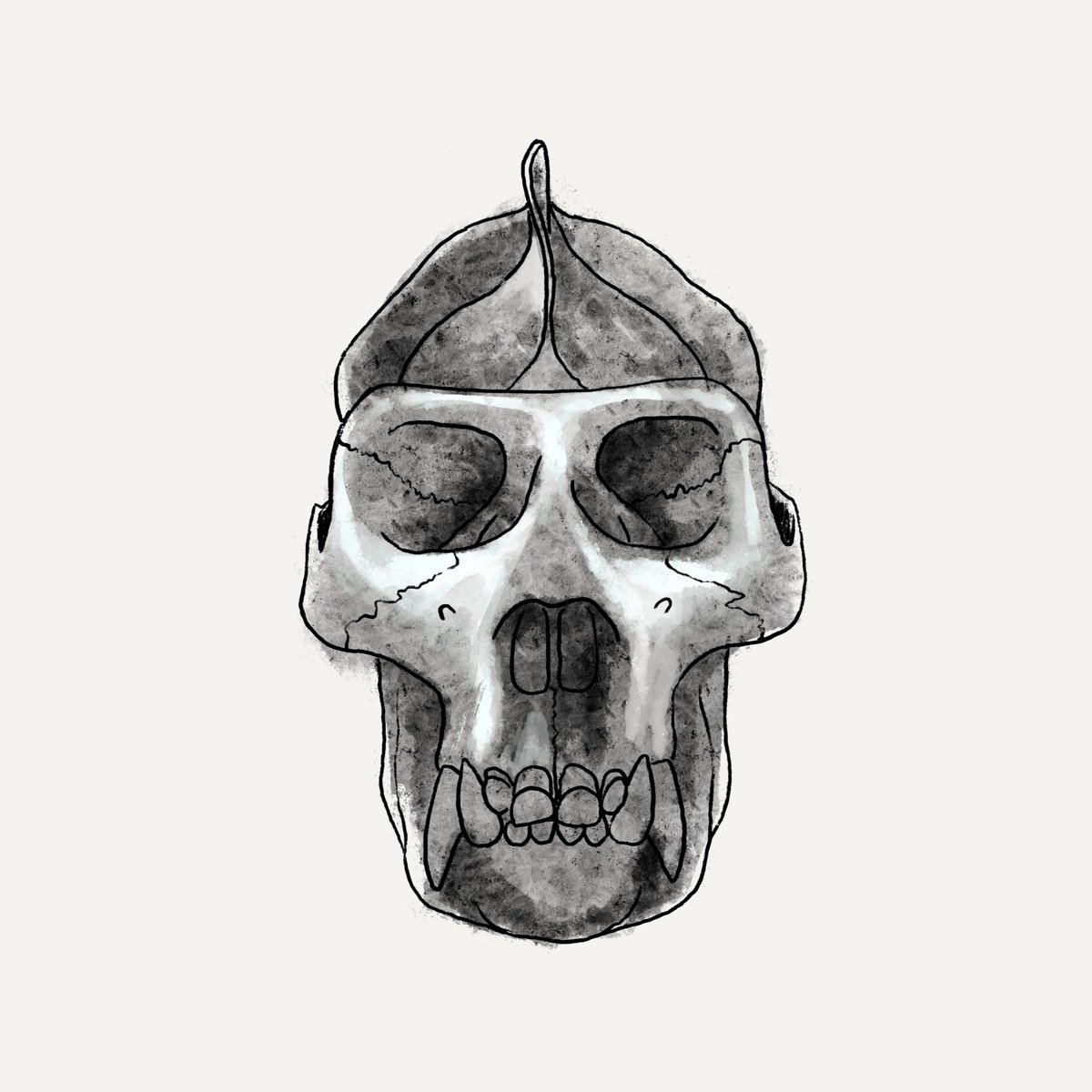 TribesNFT's tweet photo. 💀TRI3ES 0RIGINS AIRDROP FOR GENESIS MASK HOLDERS 💀

The idea, project, community, and entire culture are built on one thing. The prototype of the genesis skull❤️

If you own a genesis mask, visit the discord &amp; drop your OS #tri3es-origins-drop channel.

Snapshot:Monday 20 CEST https://t.co/u1TAyP9M6D