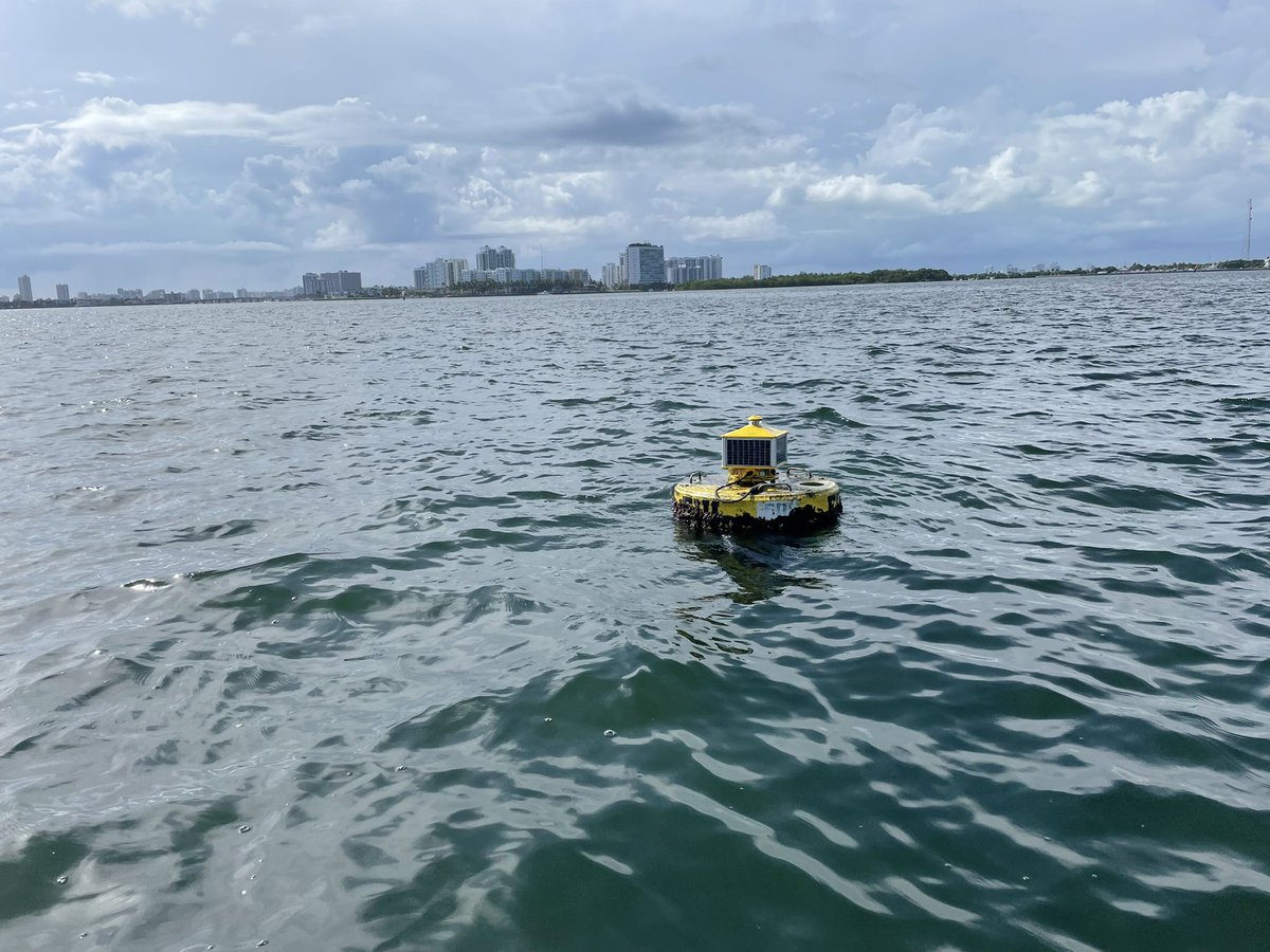 FIUEnvironment's tweet image. Today, we can see to the bottom of #BiscayneBay &amp;amp; we see #seagrass! Our buoys are doing their jobs &amp;amp; alerting us whenever something seems concerning. We’re in better shape a year later, but we still have a long way to go, says @crowl_ta 🐟🌱🌊

cc: @LOUISAGUIRRE @WPLGLocal10