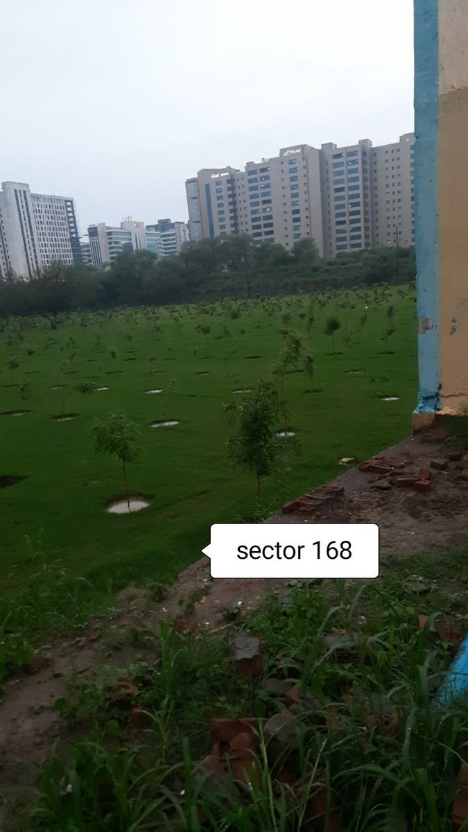 MakeSector168Beautiful tweet media