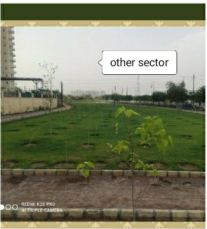 MakeSector168Beautiful tweet media