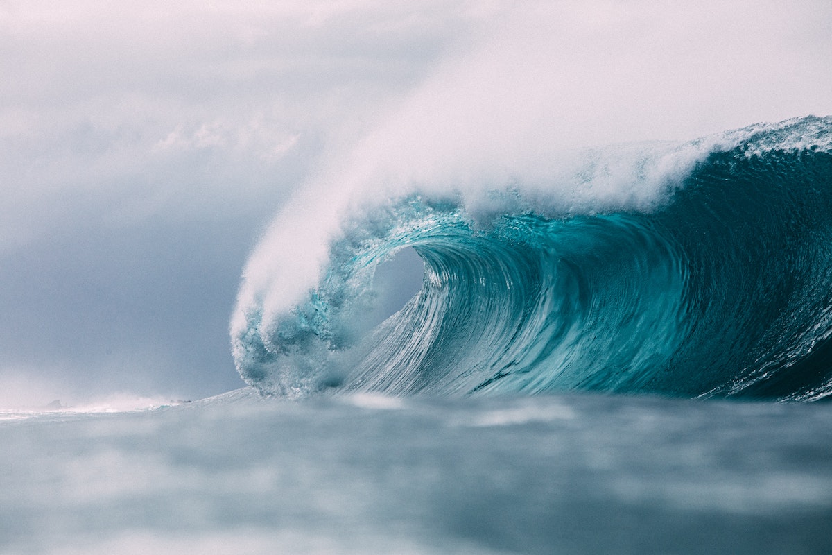 The pent-up wave of travel demand continues to roll!  via <a href="/triptuner/">TripTuner</a> bit.ly/2TKDP71 #travelrecovery #tourism #travel
