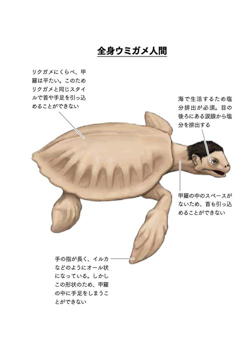ウミガメのtwitterイラスト検索結果 古い順 ウミガメのtwitterイラスト検索結果 古い順