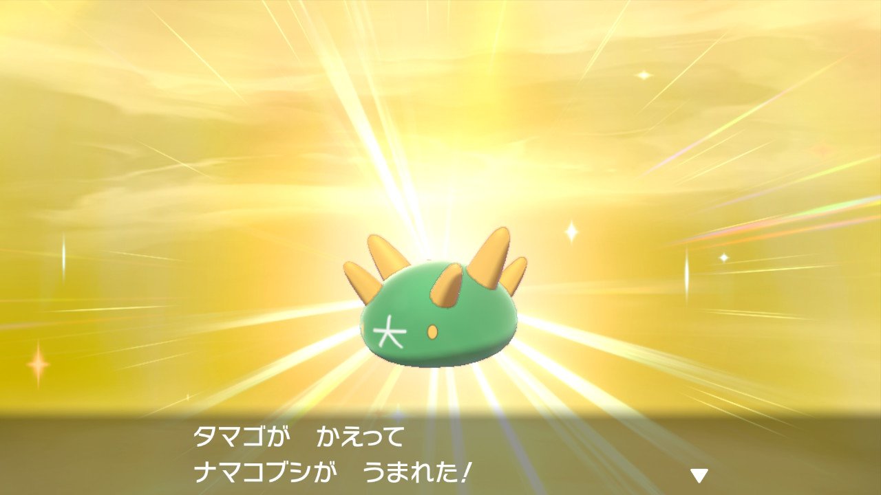 アポロ 寝る前に手持ちのたまご割ったらやっとでてきた 長かった W ポケモン剣盾 ナマコブシ T Co 8bfglotvbt Twitter