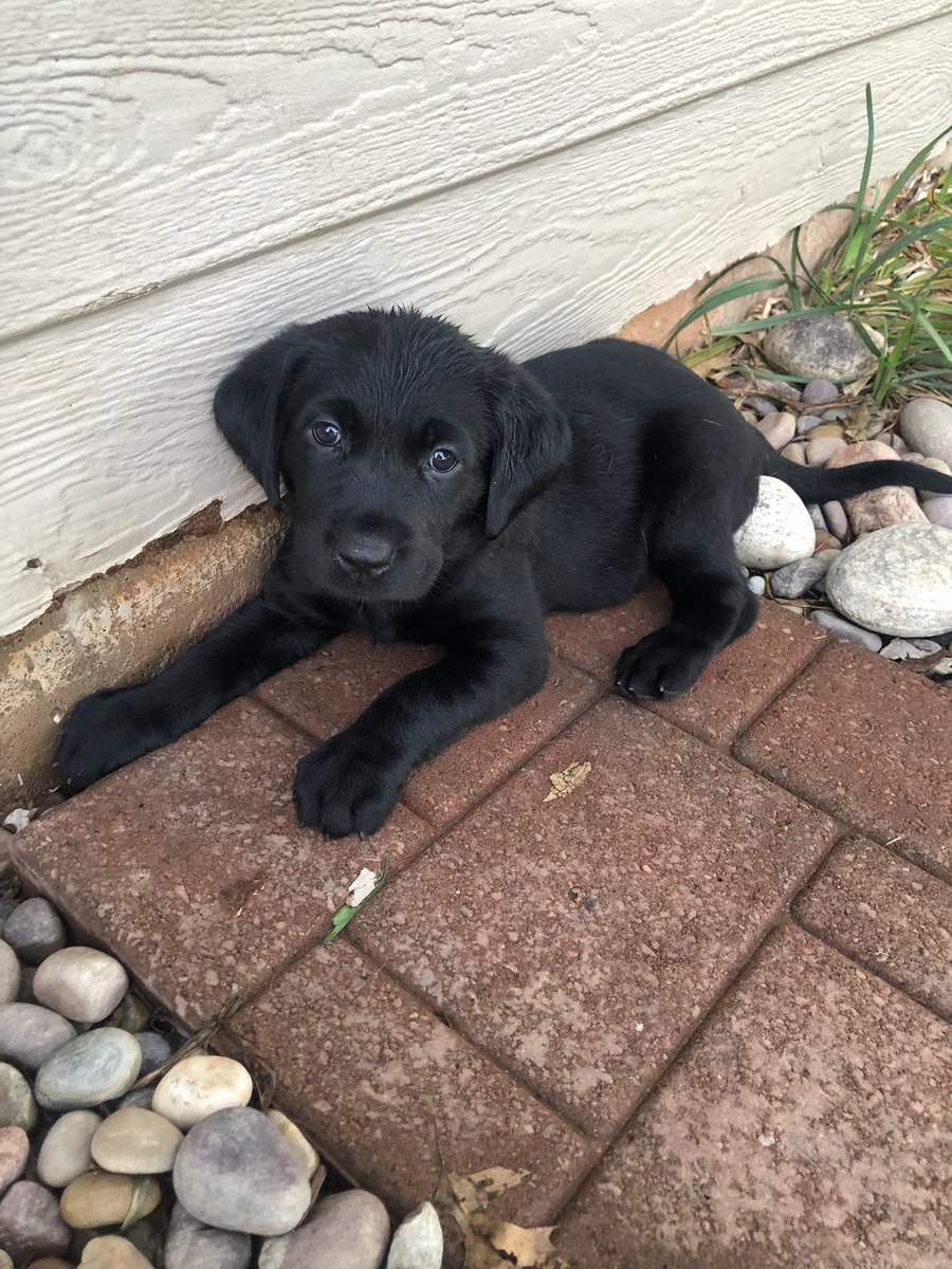 sconrad_'s tweet photo. @KAKEnews https://t.co/EtfQFMjRf7