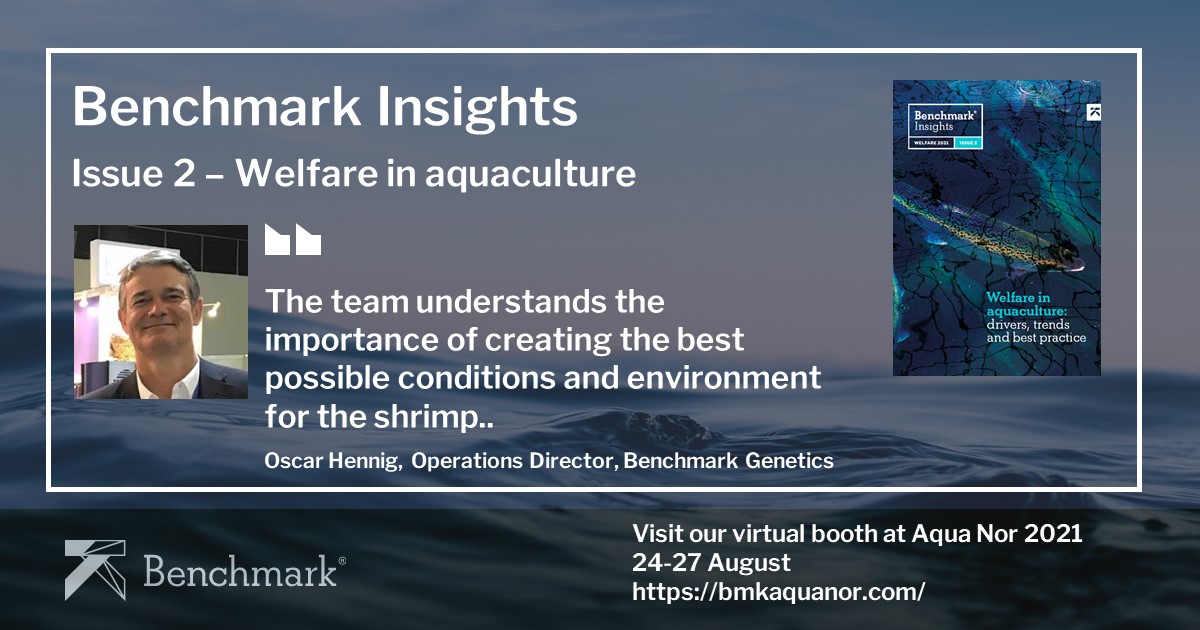 In our new ‘Benchmark Insights’ publication, ‘Welfare in aquaculture: drivers, trends and best practice’, Oscar Hennig discusses the power of genetics in creating healthy robust animals. 

You can download the publication from: bit.ly/3f8ABld

#animalwelfare