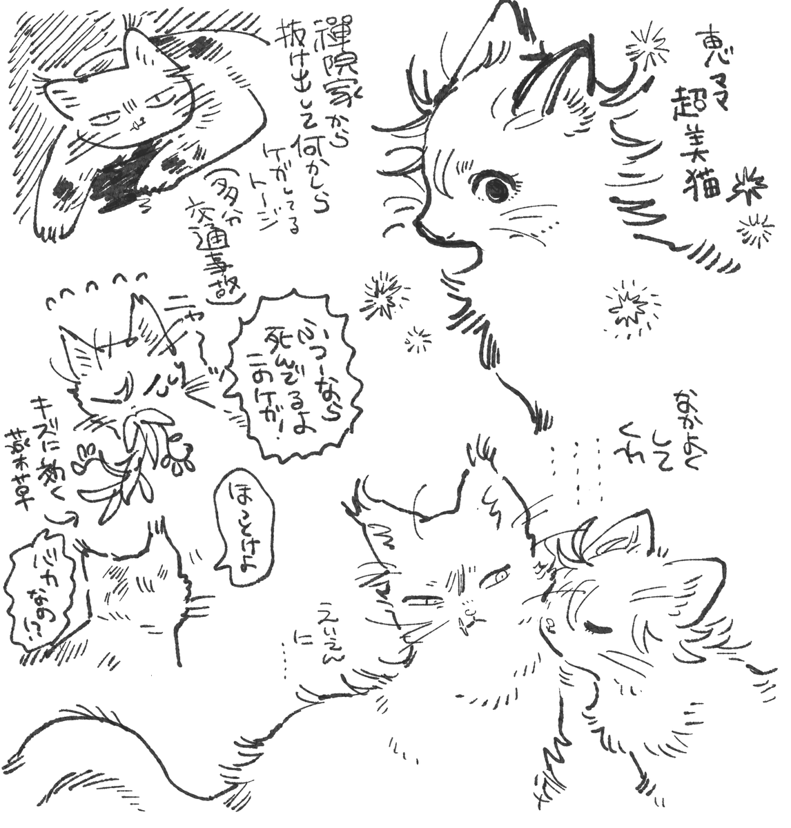 続 