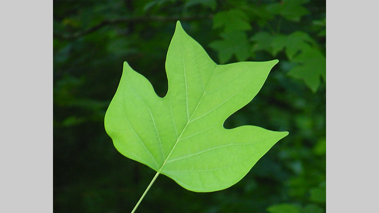 LocalReporterOC's tweet image. Time for Weeding: thelocalreporter.press/time-for-weedi… #relentlesslylocal #localnewsmatters