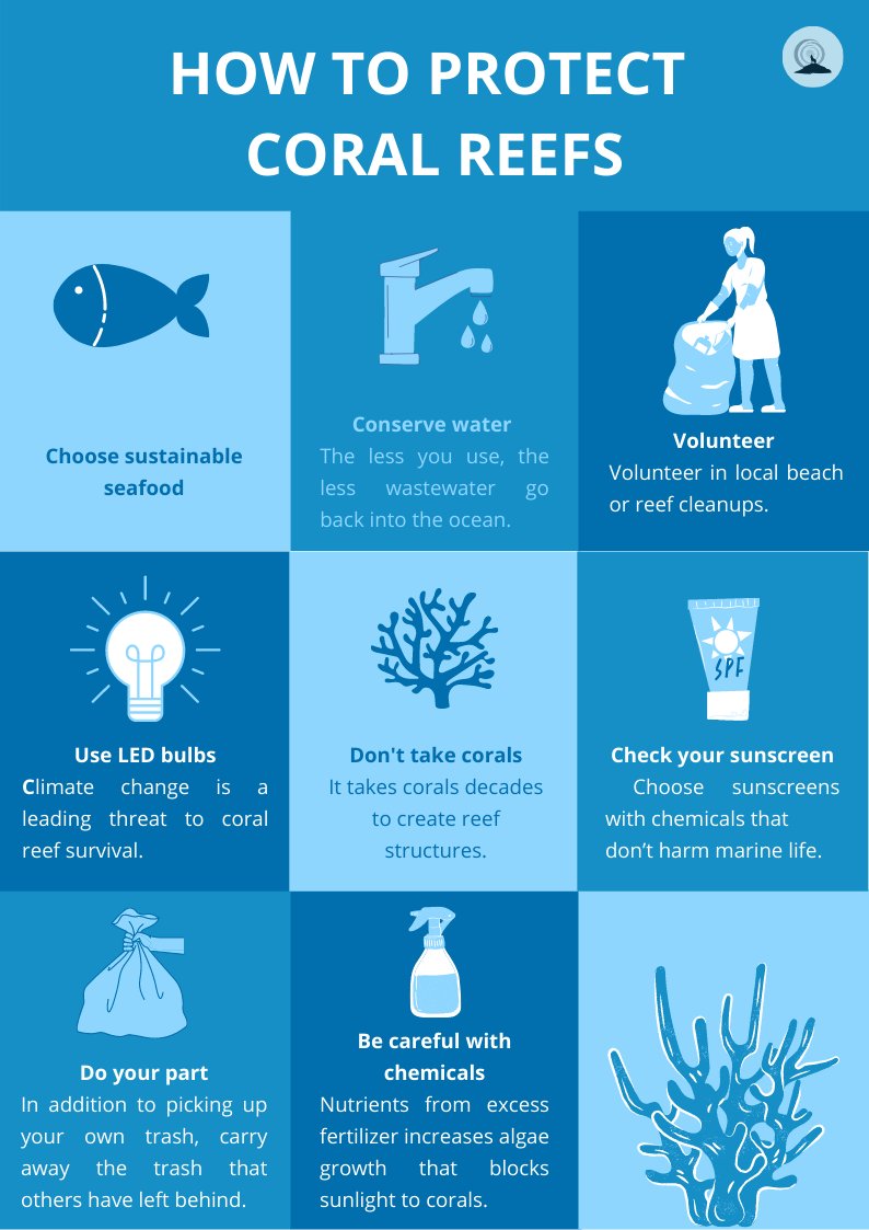 As part as the sustainable goal of July, here is an infographic on how to protect coral reefs. 🌊
Even if you live far from coral reefs, you can have an impact on reef health and conservation. 🐚
Source : National Ocean Service