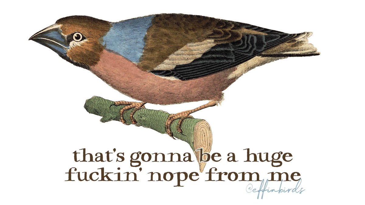A painting of a bird above the text "that's gonna be a huge fuckin' nope from me"
