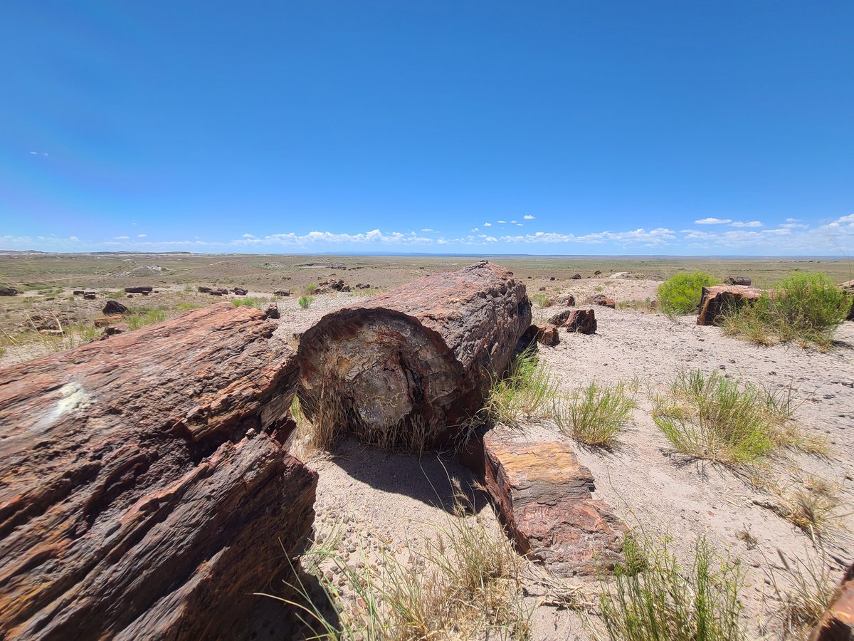 firstuchicago's tweet photo. This Sunday at 10:00 a.m: "The Conscience Pile" with the Rev. Hilary Krichevnia takes a trip to the Petrified Forest to explore how we rise with fewer rocks in our pockets and burdens in our hearts. https://t.co/ILcdNmW9l8 https://t.co/WZv1snLxTk