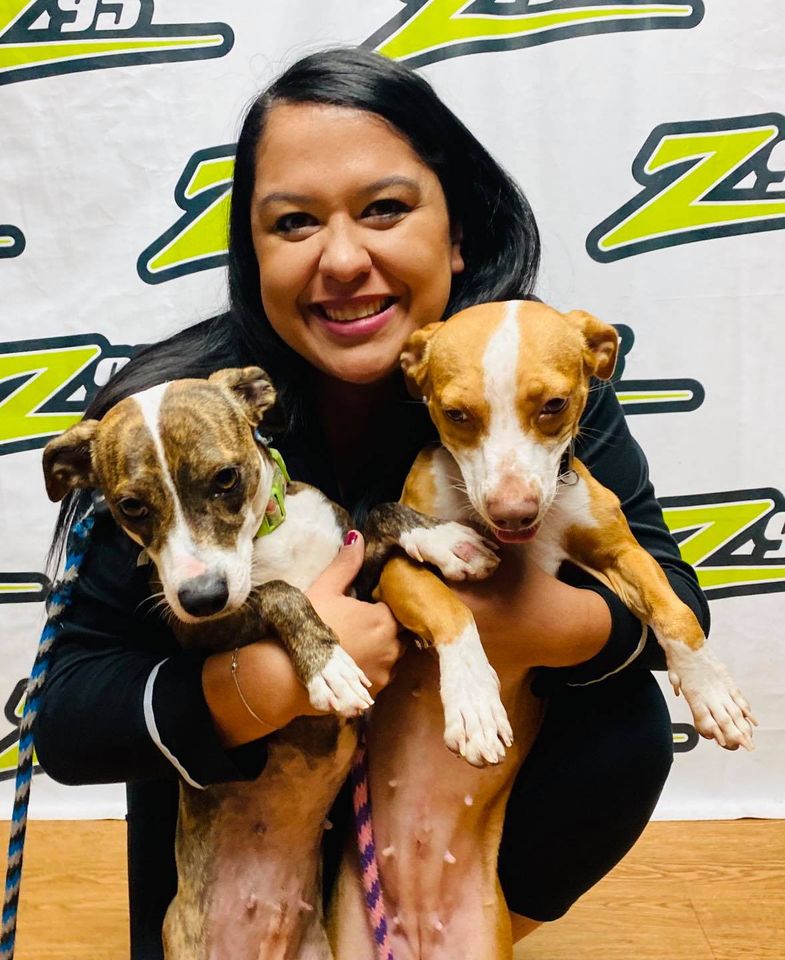 gchscc1945's tweet image. Ericka got some one-on-one time with Wednesday and Juliet this morning on HOT Z95! These two sisters would LOVE to be placed in a home together! If you'd like to adopt them, go to our website, gchscc.org, or call 361-225-0845! #hotz95 #gchscc #coastlifecreditunion