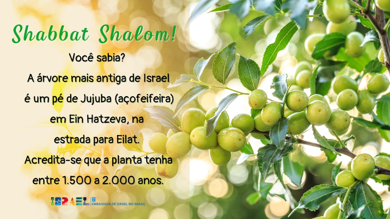 Shabbat Shalom ! 🇮🇱 - Israel no Brasil