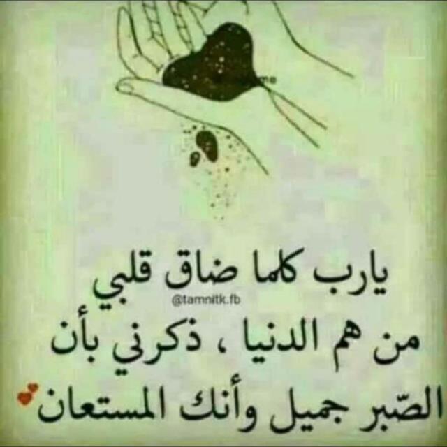 امير.2 tweet media