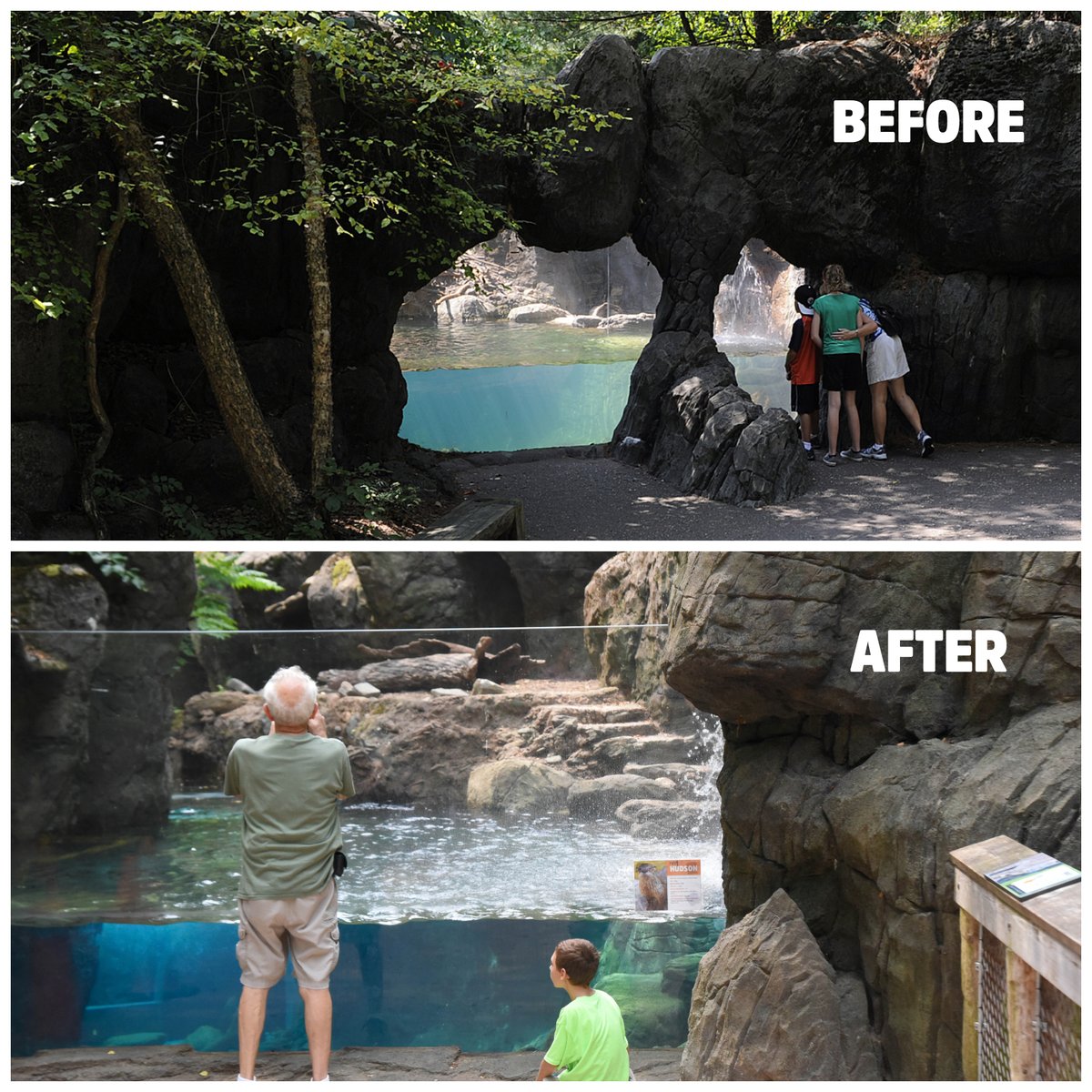 marylandzoo's tweet photo. Can you remember what the river otter habitat looked like before its otterly amazing renovation? Peek these before and after pics to jog your memory—what an upgrade! 🦦 #AllForAnimals https://t.co/6id7nwp8tl