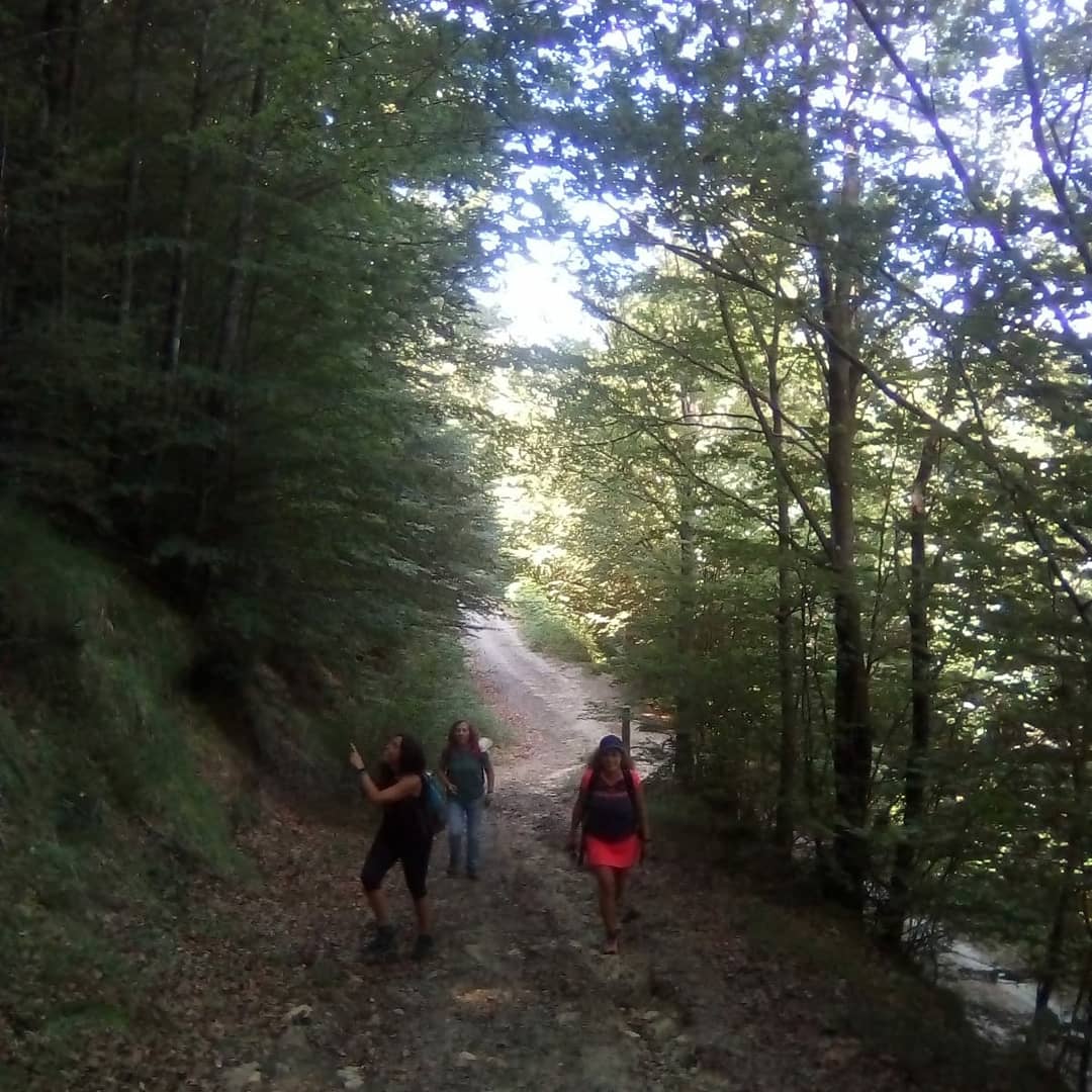 CVCantabria's tweet photo. Ayer pasamos calor haciendo la ruta "Caminando por la Historia" del  #cvpiedraenseco pero la disfrutamos muchísimo. 

#centrosdevisitantesdecantabria #surdecantabria #rutasguiadas #cantabriainfinita https://t.co/xbz7Sh2C24