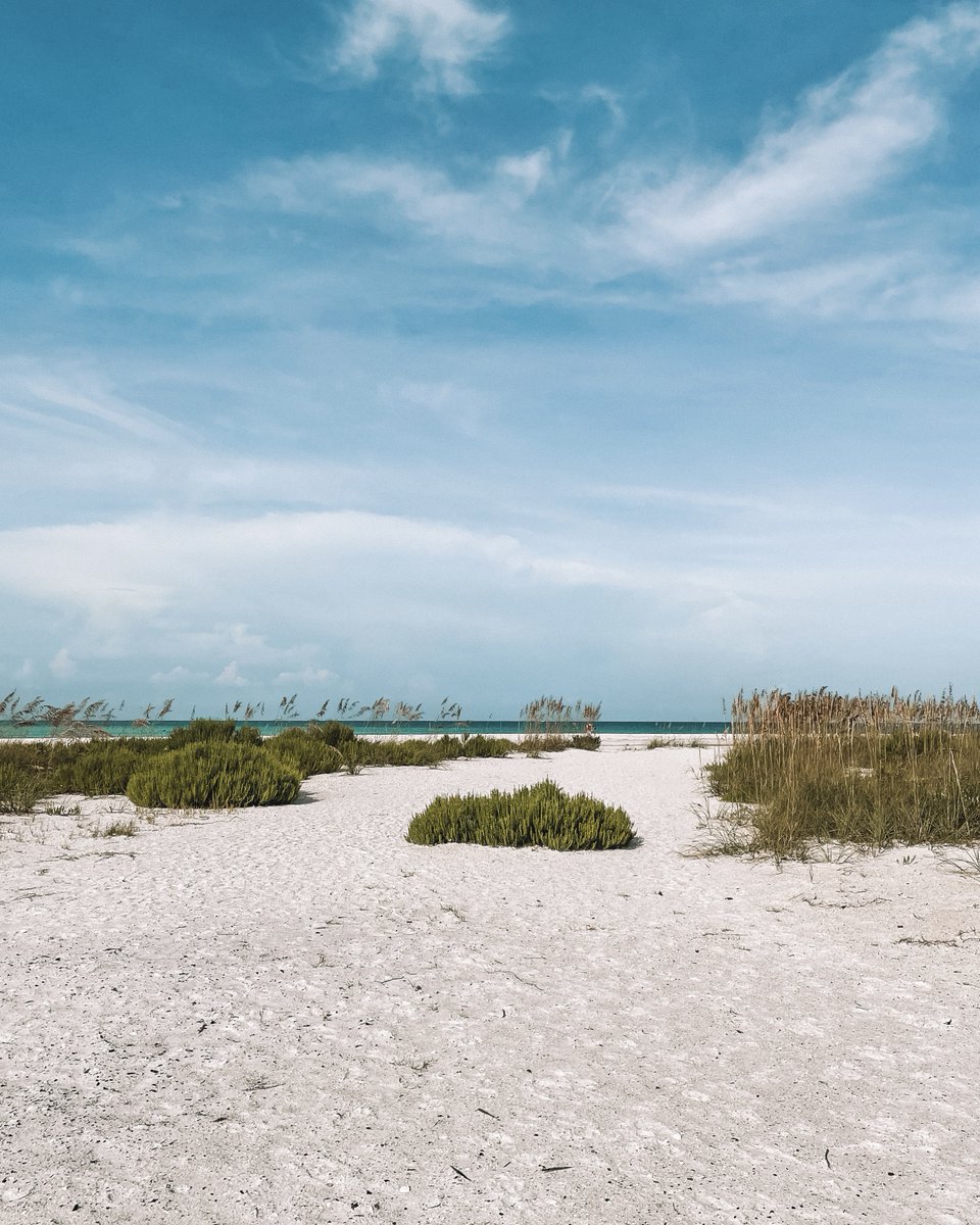 LemonTreeInn's tweet image. Time to do some #seashell hunting. Who wants to join? #vacationmode #ParadiseCoast #VisitFloirda