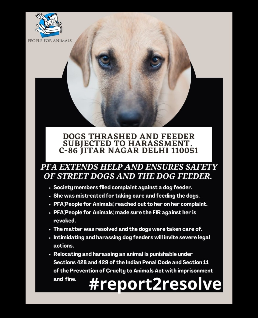 People For Animals India on Twitter: People For Animals India on Twitter: