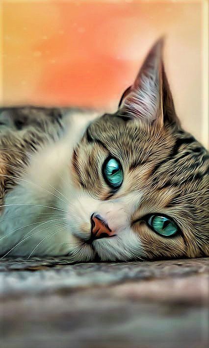 WickedRose83's tweet photo. Happy Friday My Sweet Friends!!🎉🎉🎉

How are you? 💜 https://t.co/n6elSnkkKE