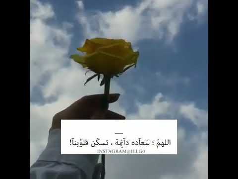 💙Hamad💙 tweet media