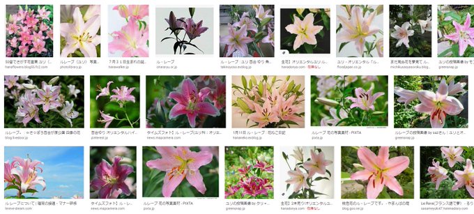 スタマイで 宝生潔 が話題に スタンドマイヒーローズ トレンディソーシャルゲームス スタマイで 宝生潔 が話題に スタンドマイヒーローズ トレンディソーシャルゲームス