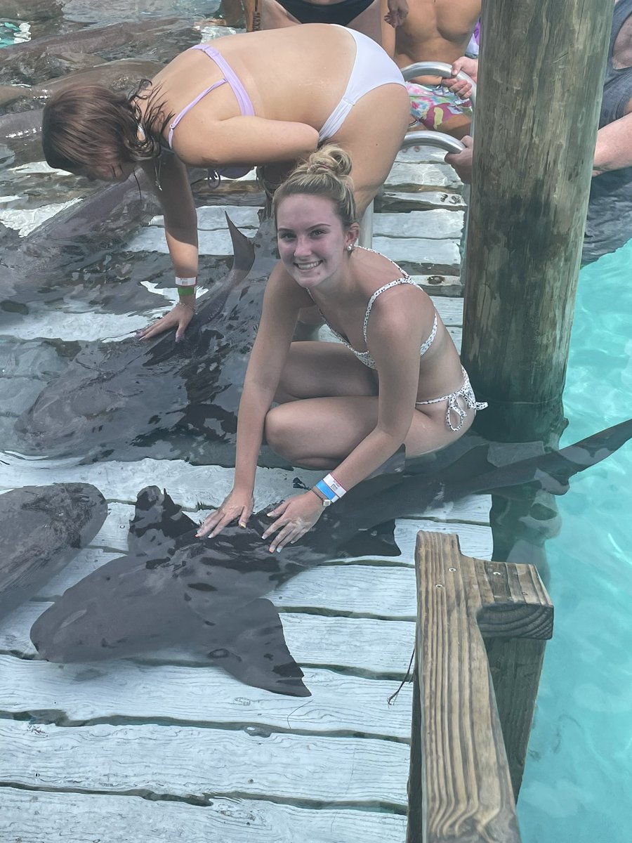 Bailey Coleman tweet media