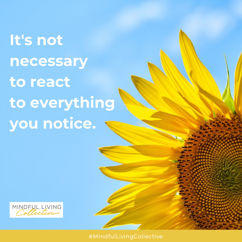 Mindful_Living's tweet image. You don’t have to react to everything you notice. Try to find the pause instead, which gives you the freedom to decide how (or if) to respond. 

#Respond #MindfulLiving #MindfulPause #ChoicePoint #MindfulLivingCollective