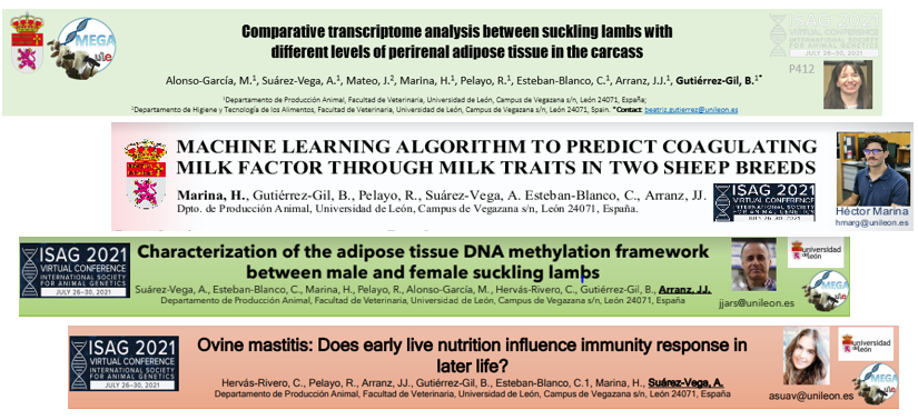 MEGA_ULE's tweet photo. Results from the regional, national and european projects funding the research activities of @MEGA_ULE have been presented at the #ISAG2021 @isagofficial. Still one pending presentation today by @Aroasv in the "Genetics of Immune respone and Disease Tesistance" workshop (W251). https://t.co/khplmat5ZO