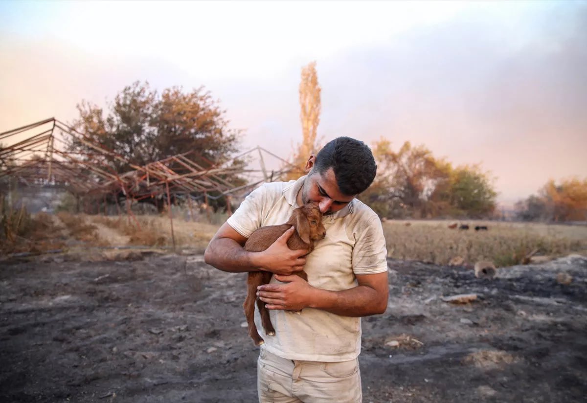 “İnsan insan dedikleri
İnsan nedir şimdi bildim
Can, can deyü söylerlerdi
Ben can nedir şimdi bildim”