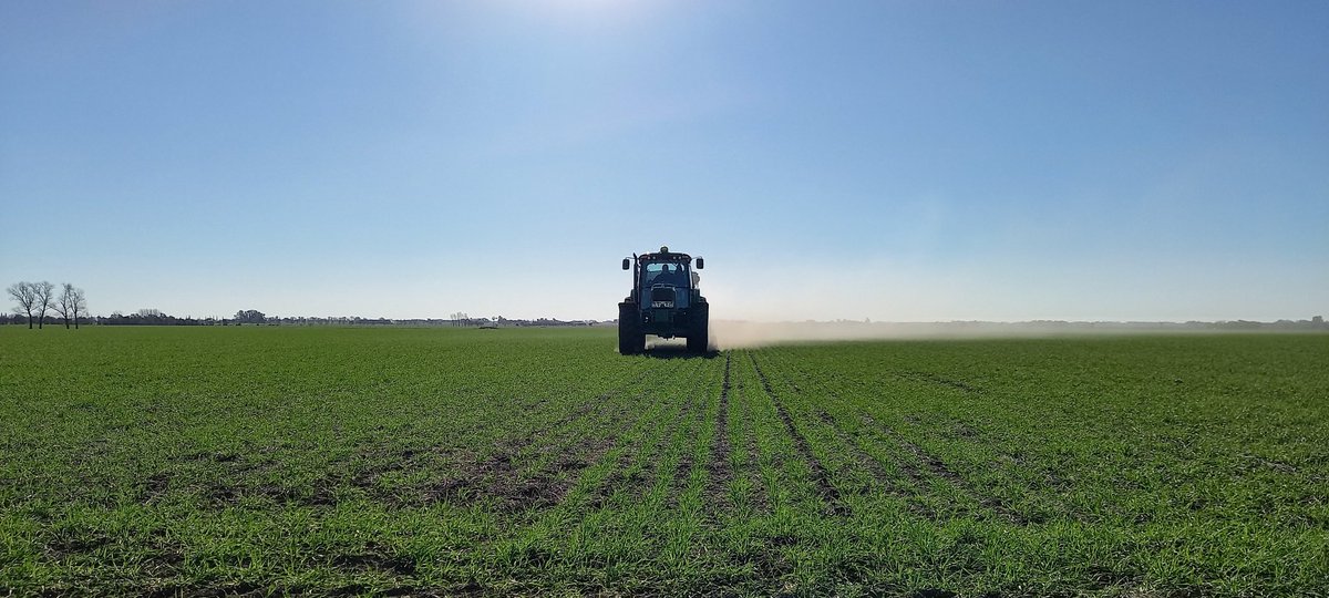 santilevantini's tweet photo. Realizando la fertilización nitrogenada de base para los ensayos de foliares con FRONDA en trigo #diversificando 🌾#IF Ingeniería en fertilizantes https://t.co/b33ZOiql0x