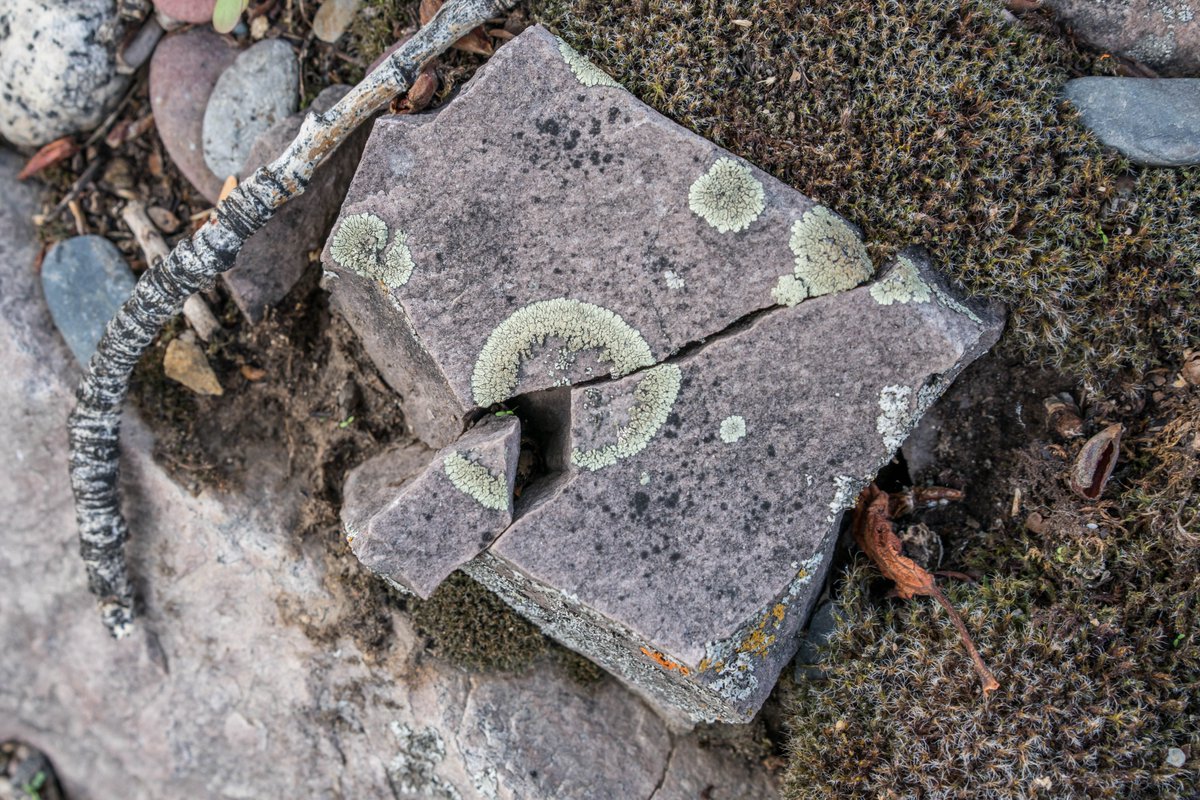 Will Ratcliff tweet media