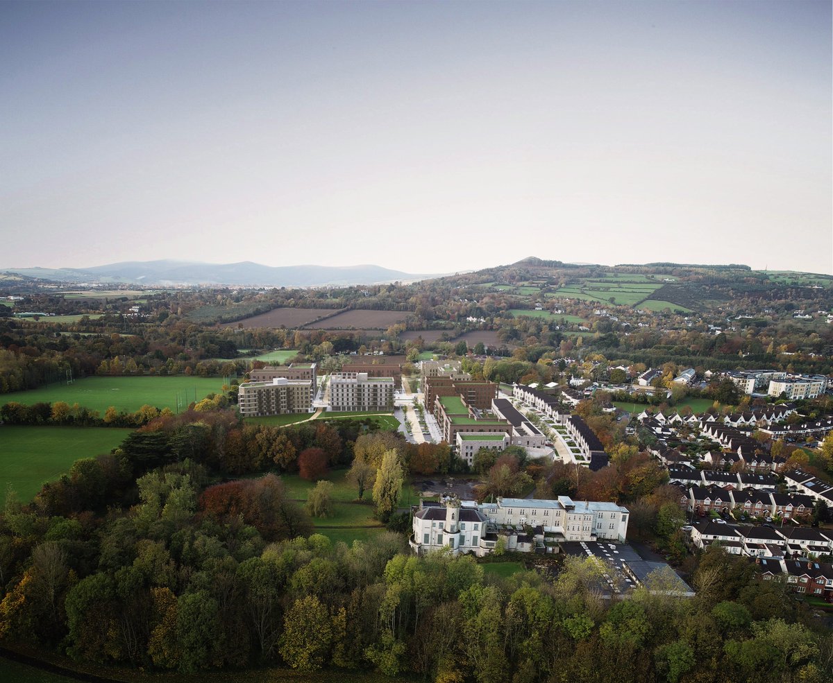 PUNCH Consulting tweet media