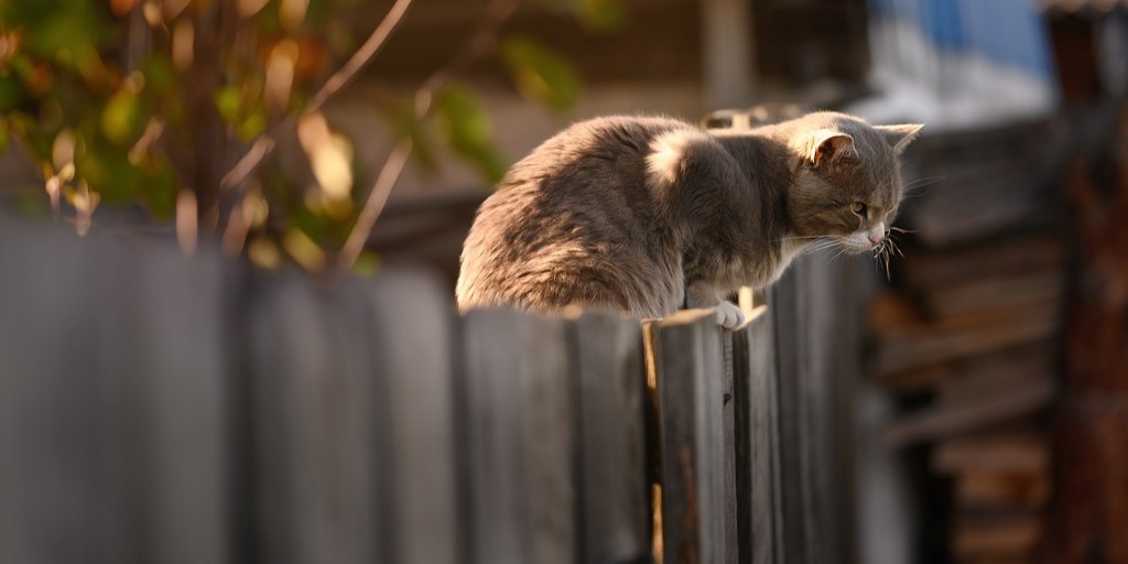 BCProvCourt's tweet image. If outdoor summer living is causing you problems with neighbours, check out @PLSBC's online resources for neighbour disputes about fences, trees, noise, parking - even smells! Get options, tools & tips at bit.ly/3zUOA6d.