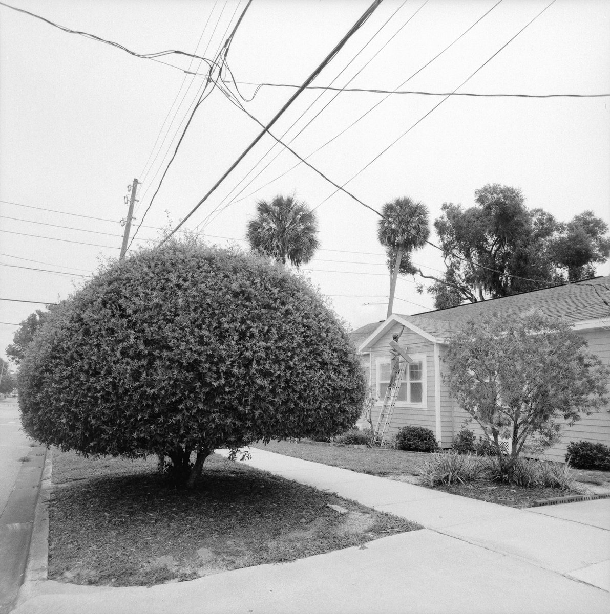 Micah Mullins on Twitter "I love what a fill flash does to textures in