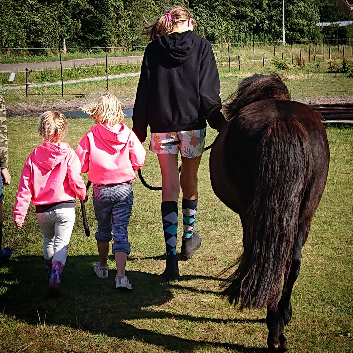 DePrairiePonys's tweet photo. Door maar liefst 3 ponyfans tegelijk naar de wei gebracht worden aan het eind van de werkdag. Dank je wel Prairiepony Trijn! π
#samen #ponyfans #ponypret #wandelpony #morgenweereendag #dePrairie #Shetlanders #Terschelling #zomervakantie https://t.co/1om3QWXcHM