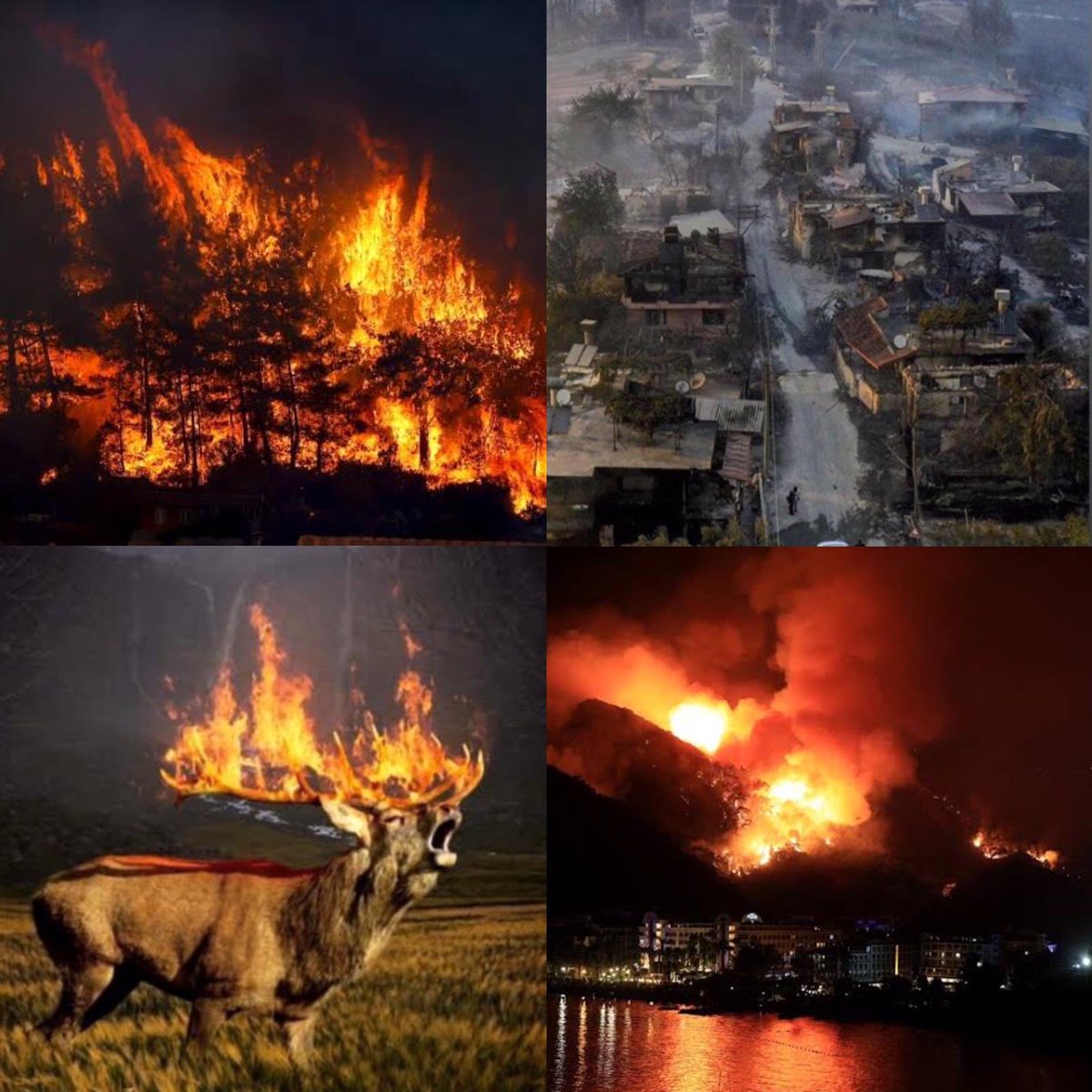 Ciğerlerimiz yanıyor. Umarız böyle bir felaket bir daha tekrarlanmaz…