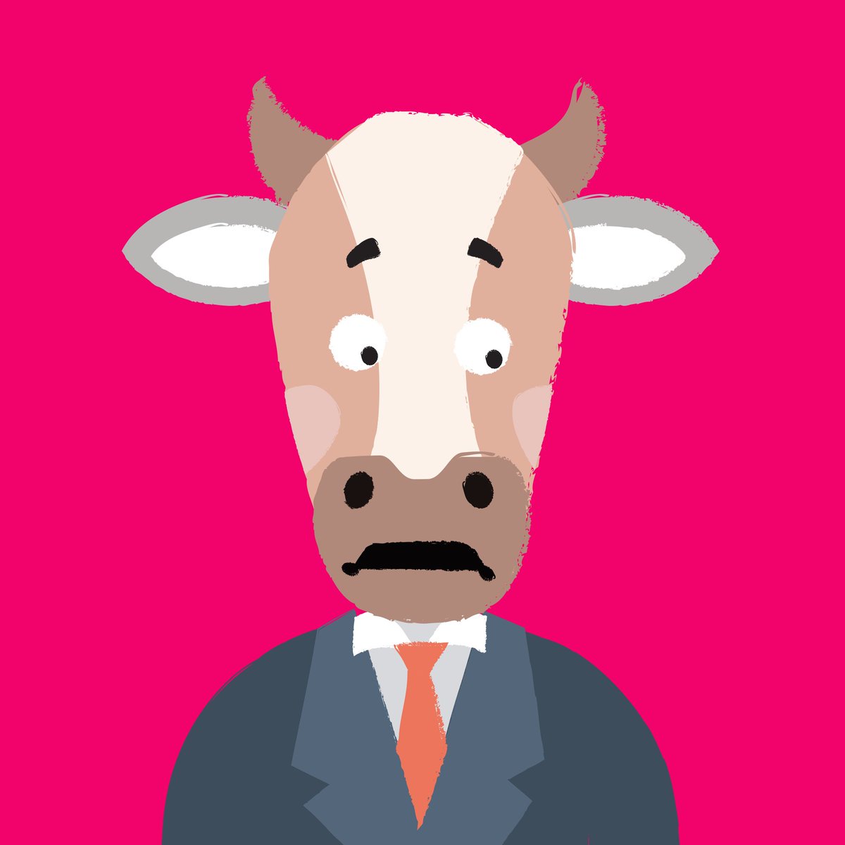 1001 Cows tweet media