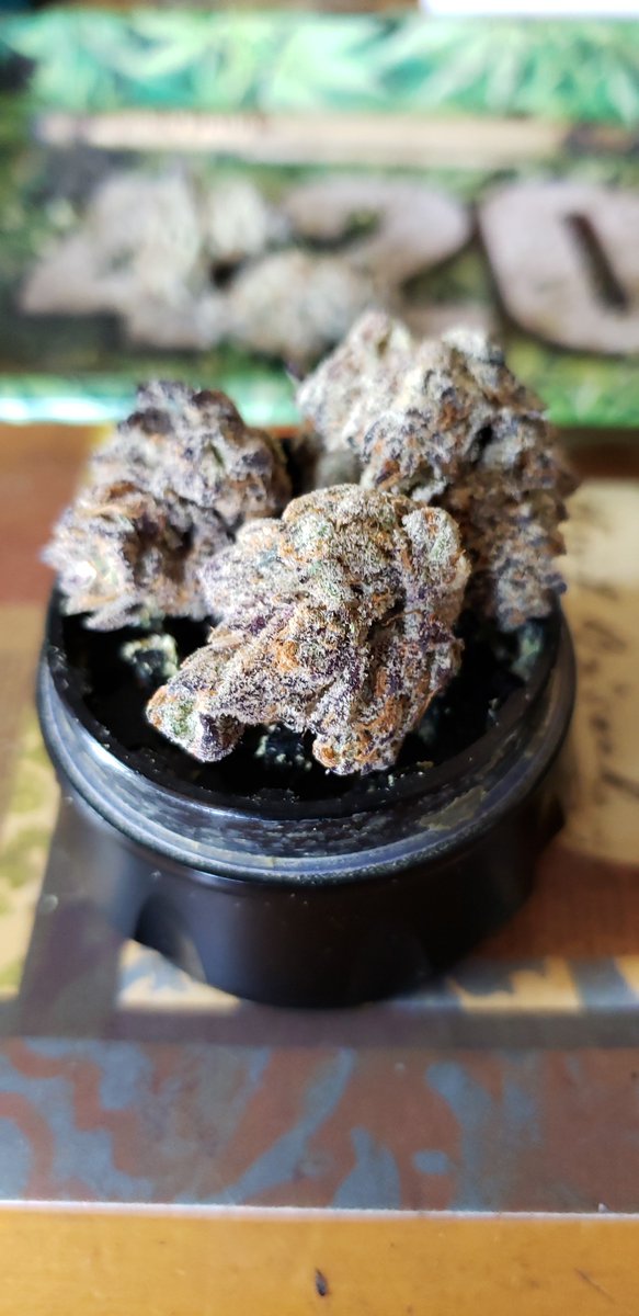 Stonedvann tweet media
