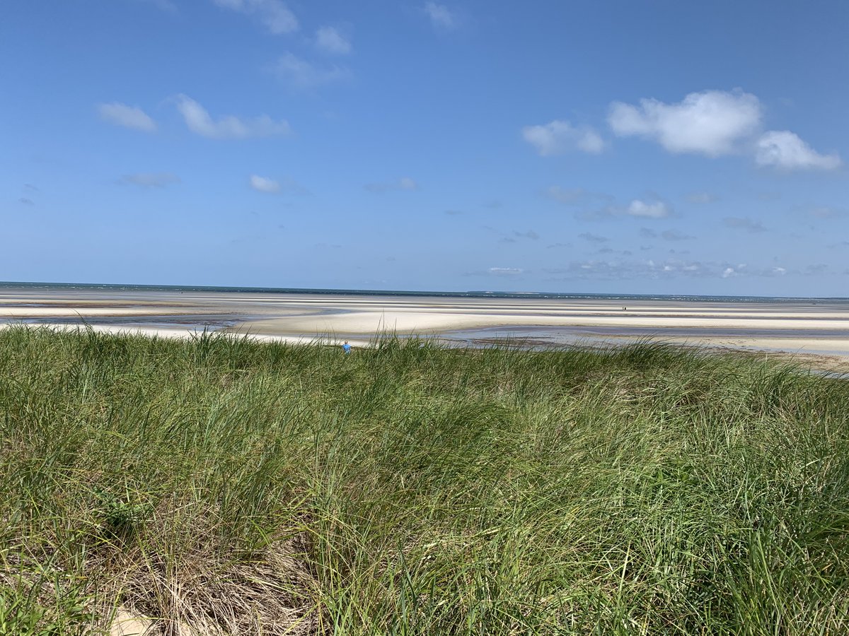 Inspiration for writing comes in all forms. My view for the day. Mystery? Suspense? Found/Lost Love? Challenge? What inspires you? #amwriting #writerslife #WritingCommunity #HistoricalFiction #Suspense #amreading #CapeCod #SinCNE #AK_WritersGuild