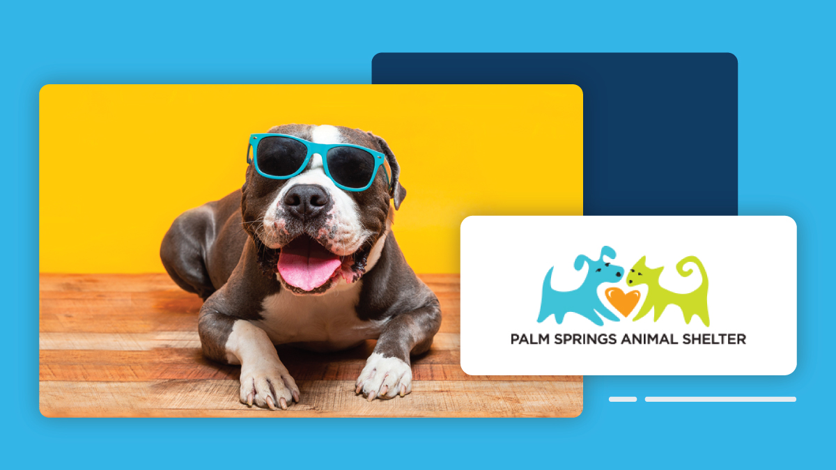 Palm Springs Animal Shelter (@PSAnimalShelter) / Twitter Palm Springs Animal Shelter (@PSAnimalShelter) / Twitter