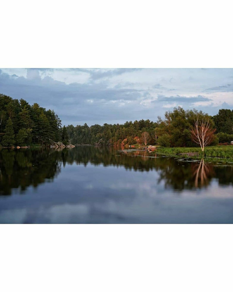 A little slice of summer! Shot on a #SonyA7III, ISO 100, shutter 1/2000, F1.8 📷:rezwan.mohammad12/IG

Help your clients add a slice of #summer to their home, with prints of your images. Explore our print selection including NEW Hahnemuhle Rag: prolabcanada.ca/products #ontario
