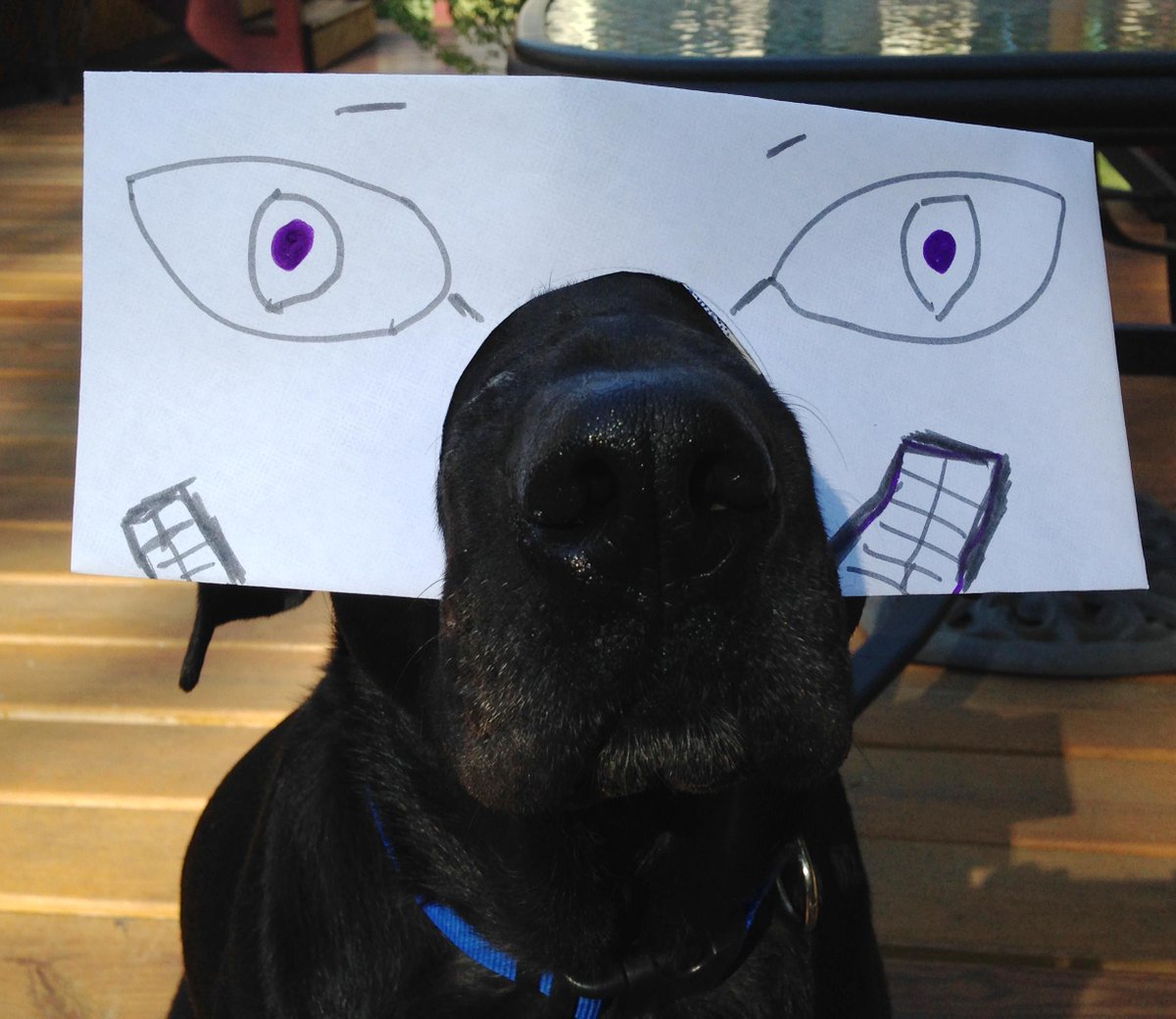 1JackWorld's tweet photo. Meanwhile, back at the office, Jack did his best to lighten the mood https://t.co/Exl5evLQMA