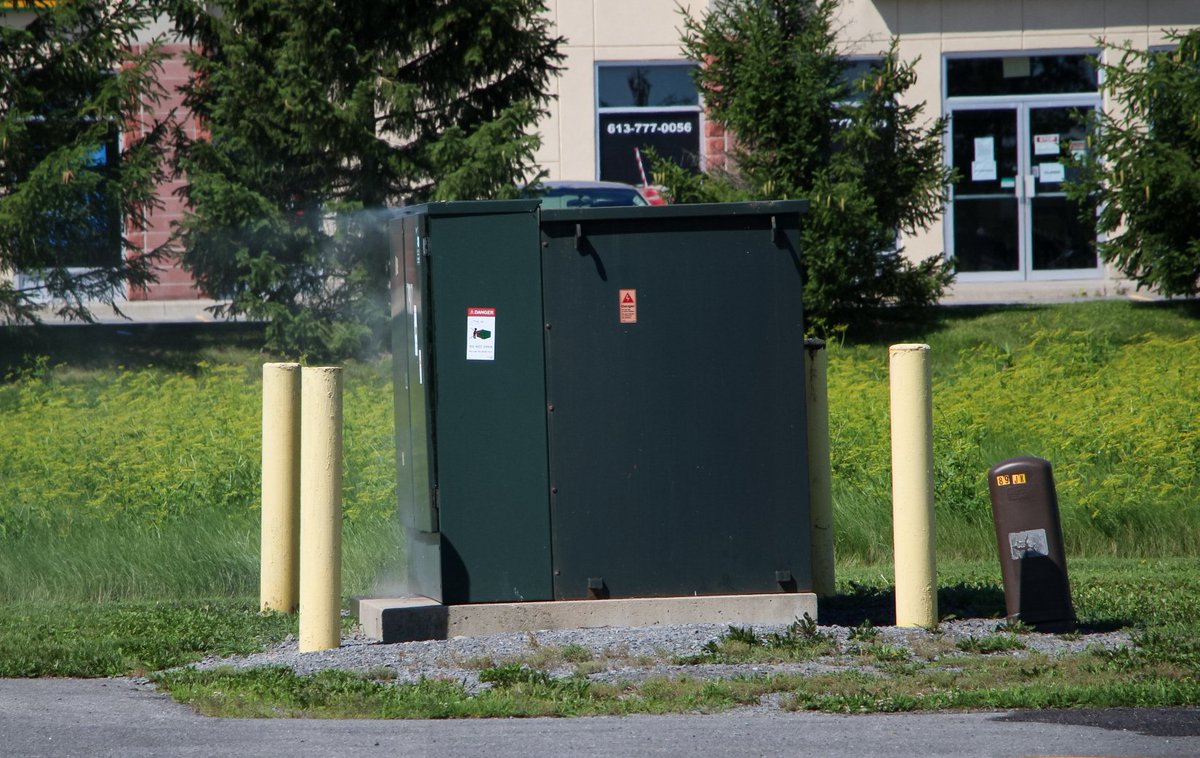 Logan Cadue tweet media