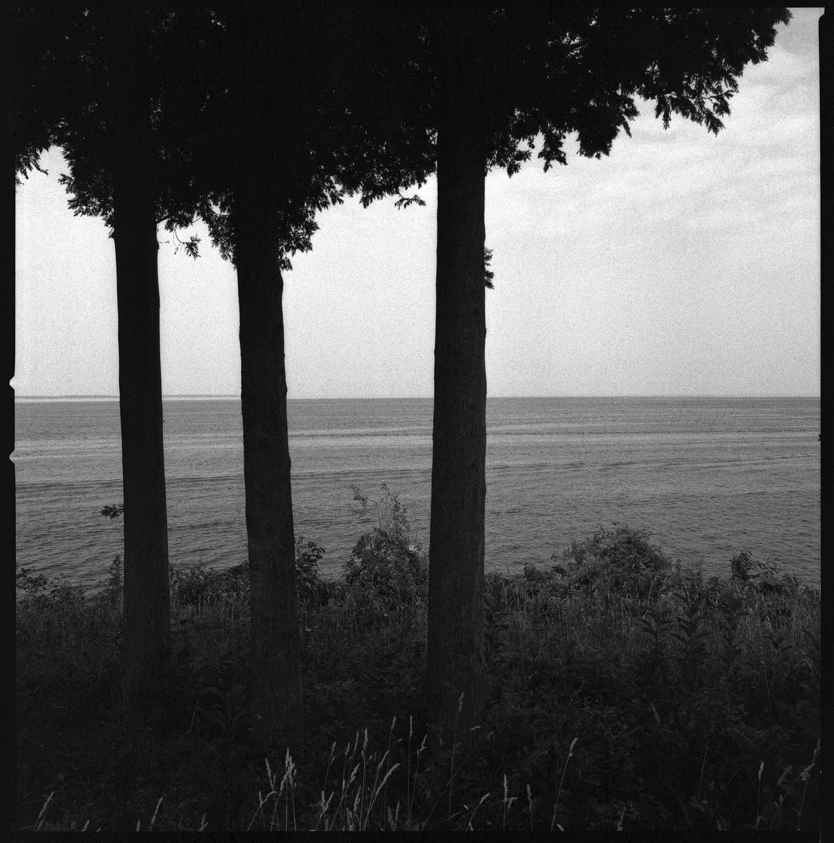 aofilmworks's tweet photo. Peninsula State Park - Door County WI
•
•
#hasselblad500cm #zeiss50mm #berggerpancro400 #redfilter #push1stop #analog #photography #blackandwhite #bnw #squareframe #mediumformat #film #dilutionB #nature #water #summer #vacation https://t.co/xot5Y1MnW3