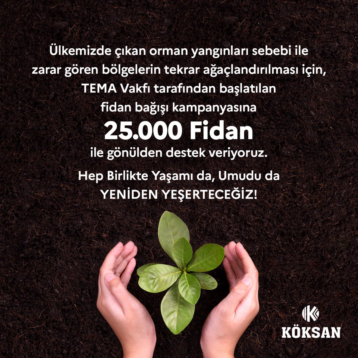 Asım Kökoğlu tweet media